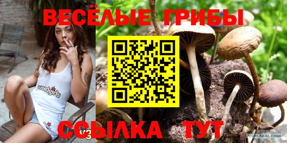 Галлюциногенные грибы прущие грибы Казань