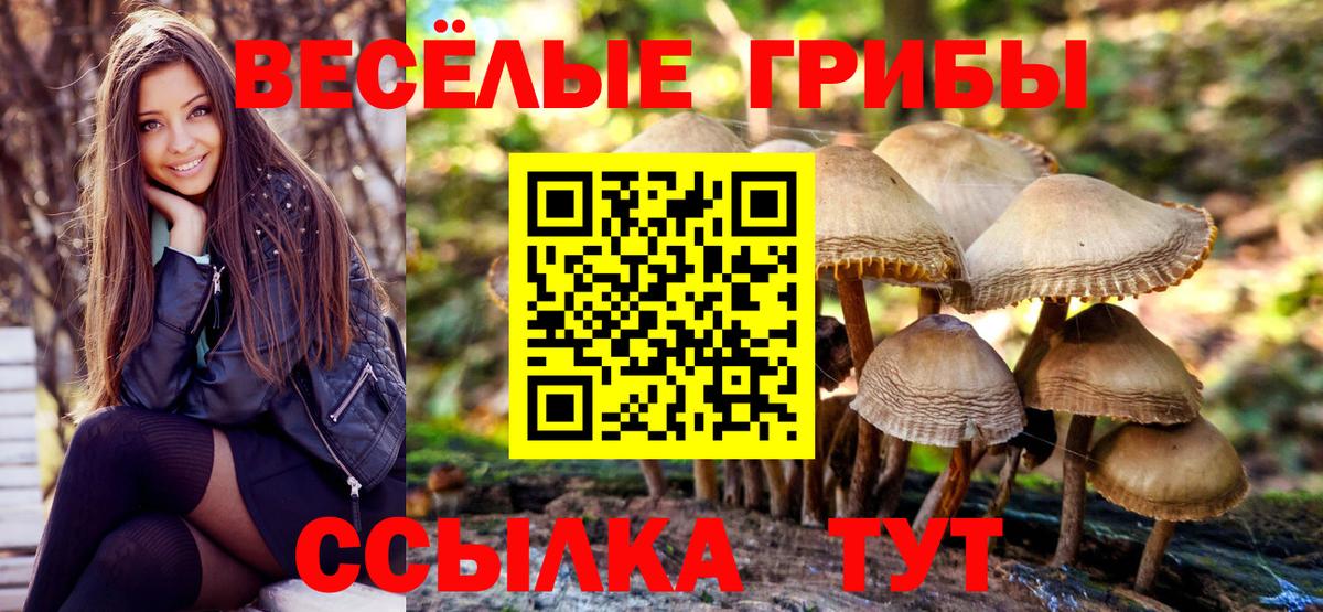 Псилоцибиновые грибы MAGIC MUSHROOMS  Вход с VPN  Казань 